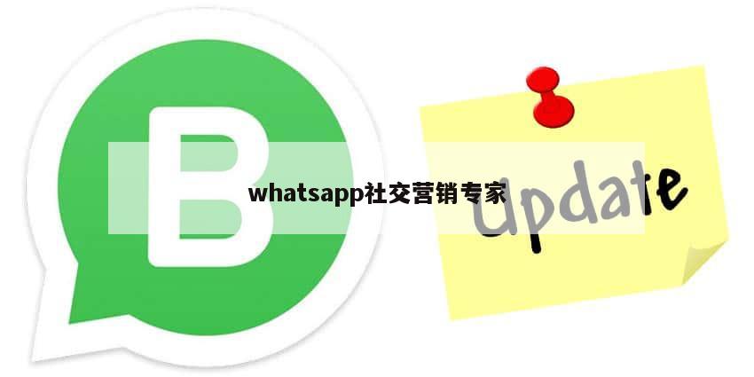 whatsapp社交营销专家
